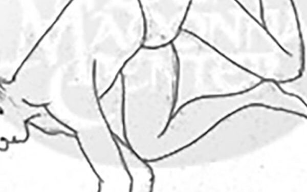 Sketches of yoga poses from Baba Hari Dass's notebook