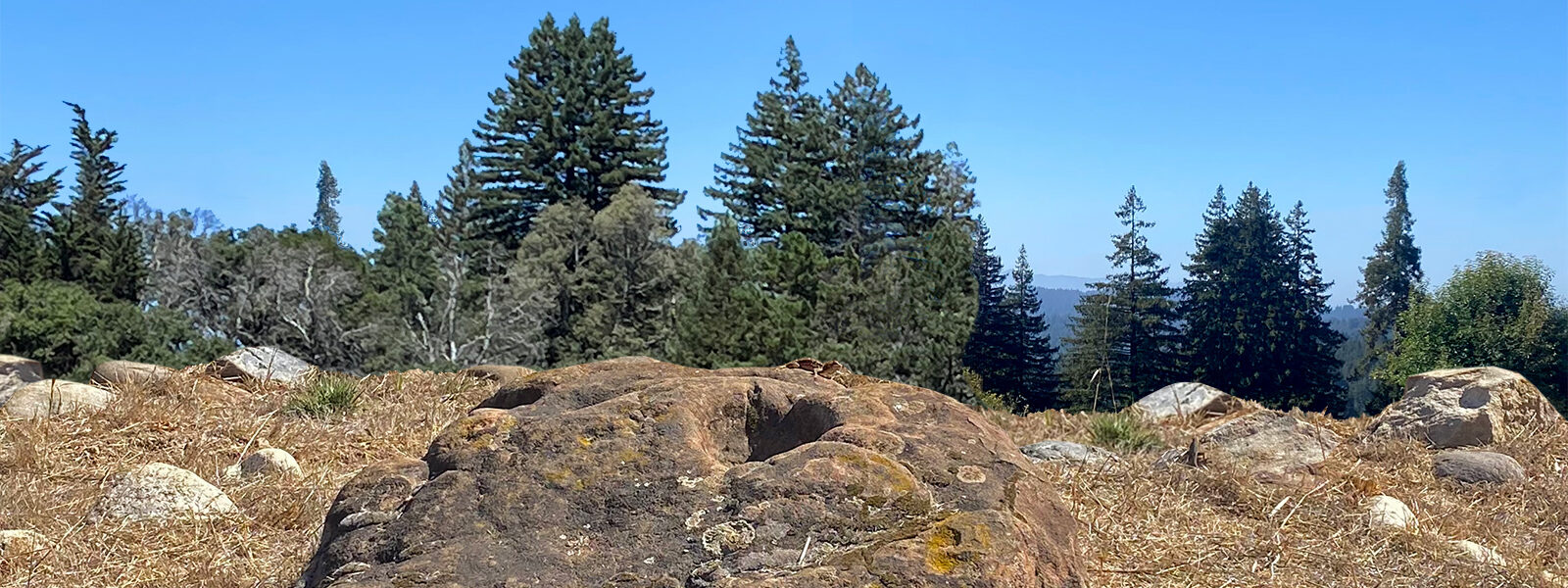 Honoring the Ohlone Peoples, Stewards of This Land