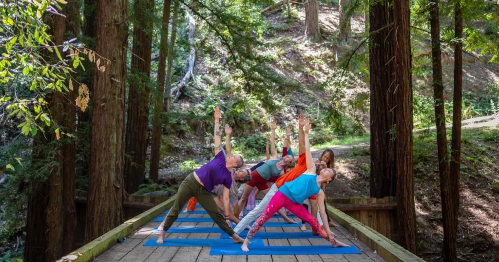People gathered on a forest bridge for the Liberation Summer Yoga Retreat