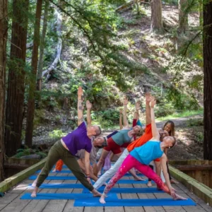 People gathered on a forest bridge for the Liberation Summer Yoga Retreat