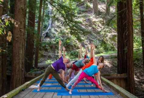 People gathered on a forest bridge for the Liberation Summer Yoga Retreat