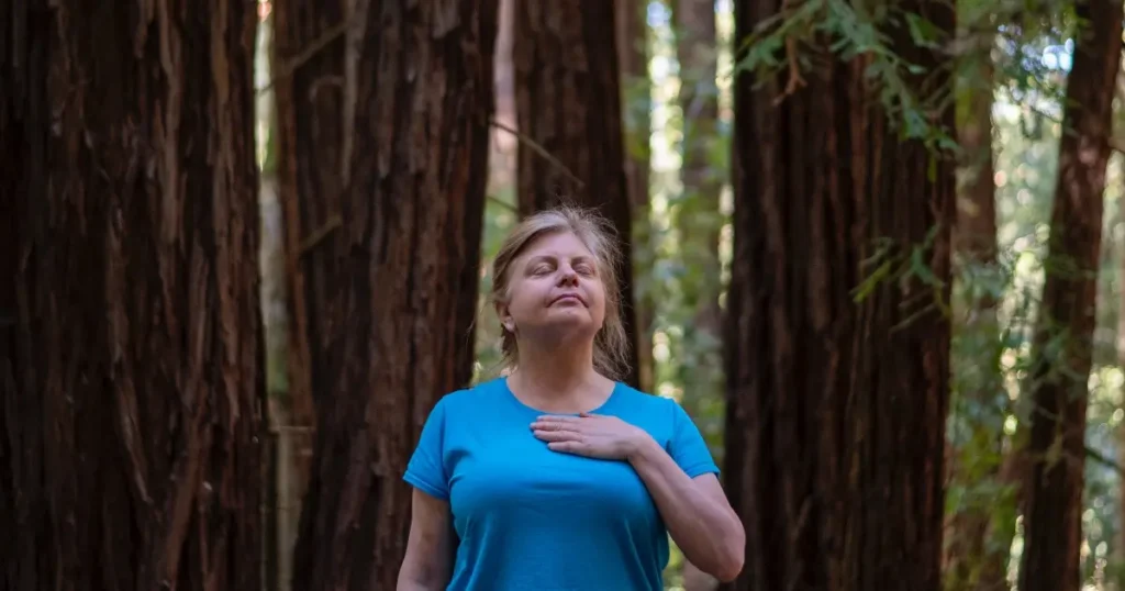 person forest bathing standing in the redwoods with hand to heart