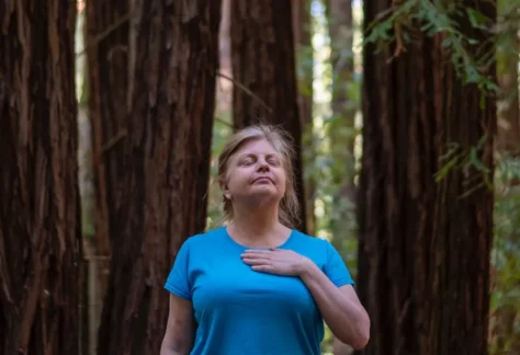 person forest bathing standing in the redwoods with hand to heart