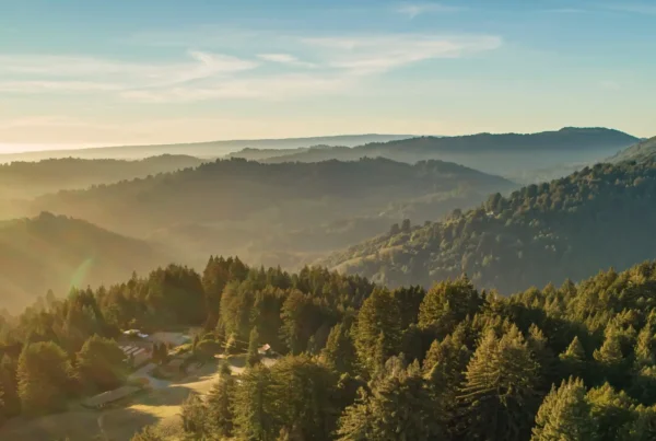 photo of the Santa Cruz Mountains and ocean, featured on the homepage of Mount Madonna's website, a recent Davey Awards Gold Winner