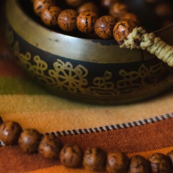 going-deeper-gallery-5