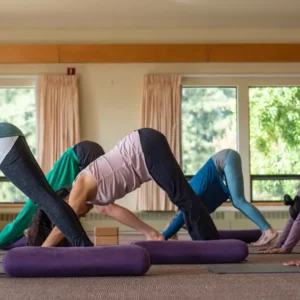 Students in downward facing dog for an all-levels yoga class