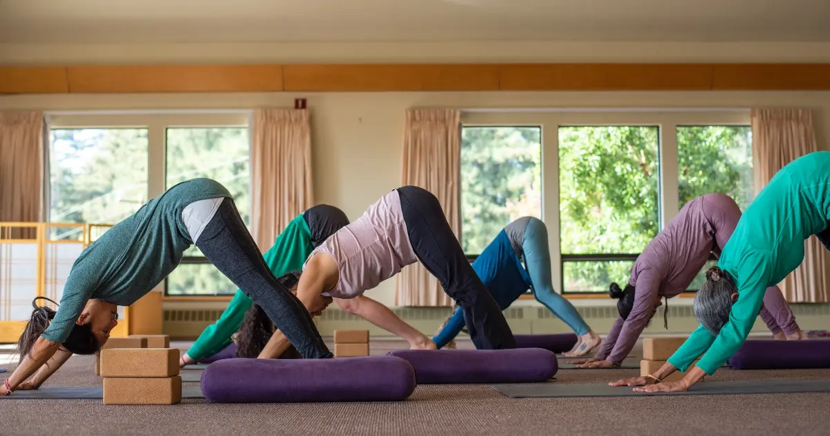 Students in downward facing dog for an all-levels yoga class