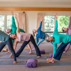 Group of people in yoga class