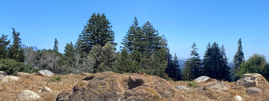 A meeting place on Mount Madonna, photo in honor of Native American Heritage Month