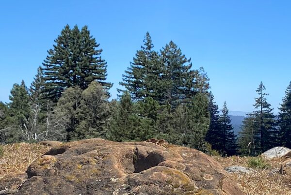 A meeting place on Mount Madonna, photo in honor of Native American Heritage Month