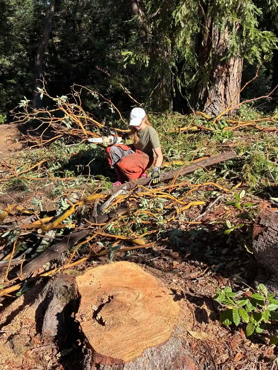 Rotational Volunteer at Mount Madonna participates in land stewardship.