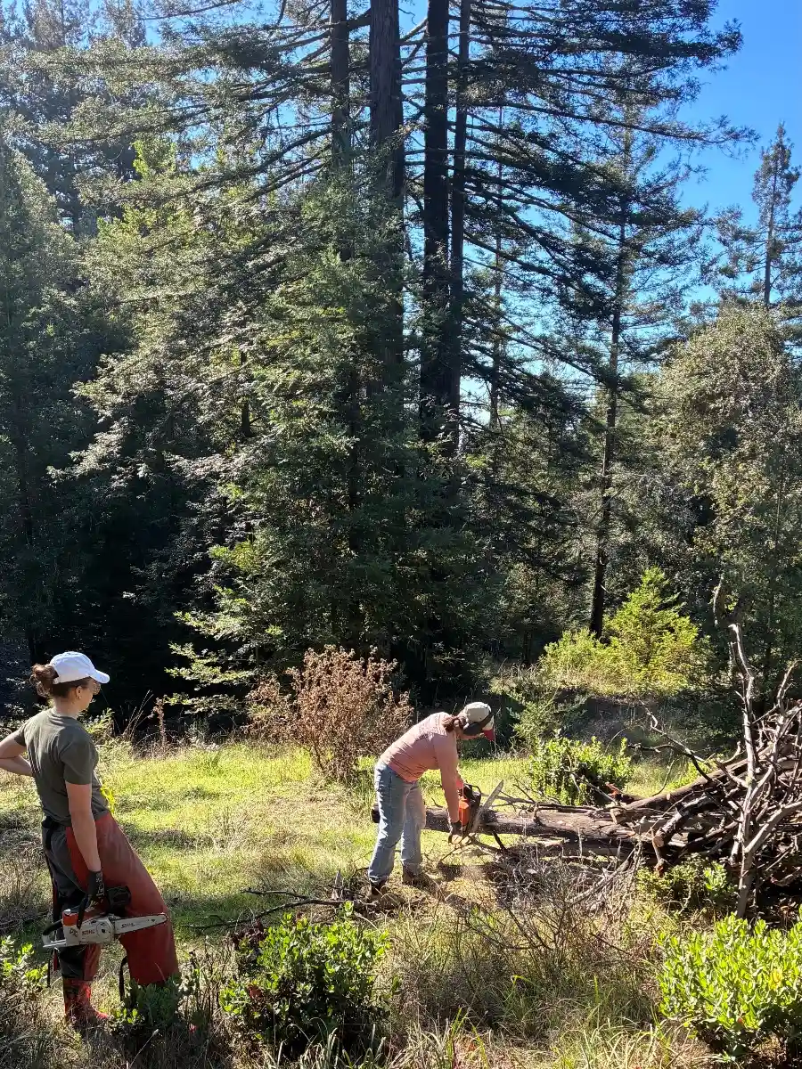 Volunteers and residents steward the land by participating in responsible land management.