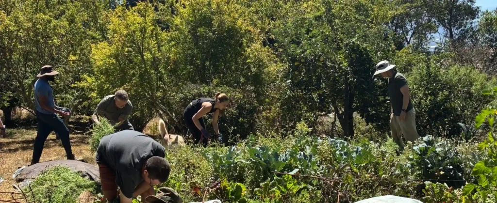 Rotational volunteers work in the garden at Mount Madonna over the summer