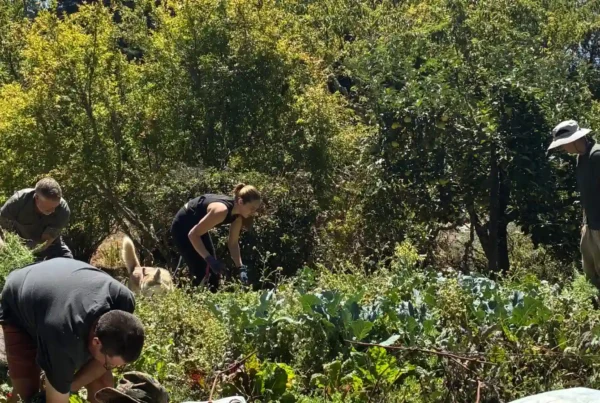 Rotational volunteers work in the garden at Mount Madonna over the summer