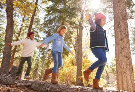 Children walking through the forest during family-friendly event at Mount Madonna