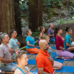 People on bridge in the redwoods for a yoga asana and meditation class at Mount Madonna