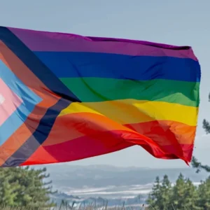 Pride flag and trees for Mount Madonna's participation in the Santa Cruz Pride Festival & Parade