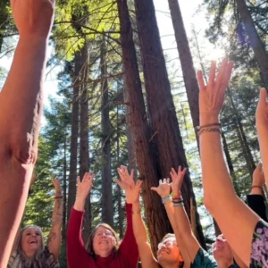 Group of people with their hands raised in the air in the forest for the Women's Evolution Weekend Retreat.